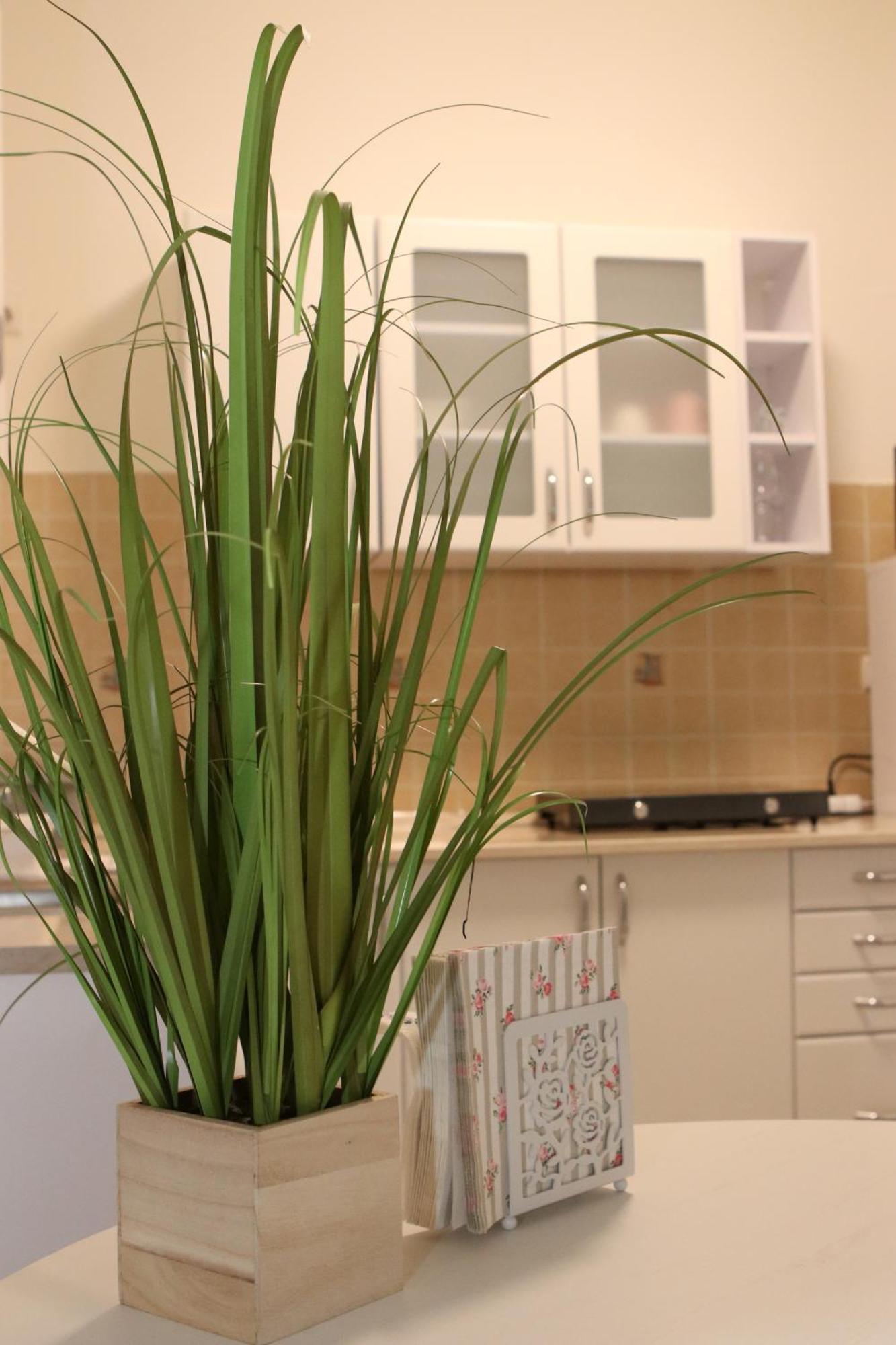 Tulipan Apartman Gödöllő Eksteriør bilde
